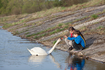 Image showing Children feeding swan