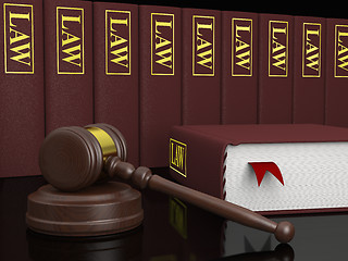 Image showing Legal literature