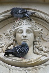 Image showing Pigeons on statue