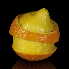 Image showing composite fruit