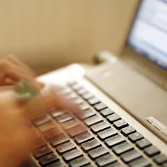 Image showing Young woman working on laptop