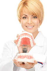 Image showing doctor with jaws