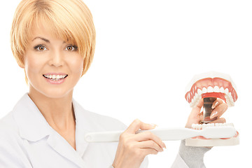 Image showing doctor with toothbrush and jaws