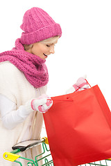 Image showing shopper