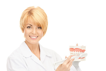 Image showing doctor with toothbrush and jaws