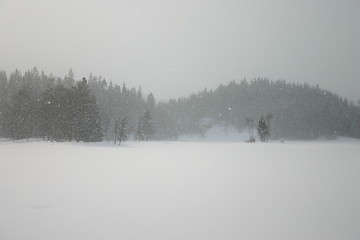 Image showing snowy weather