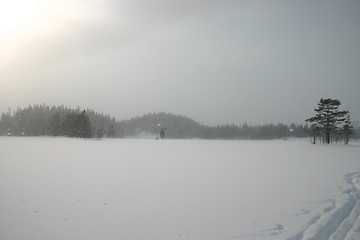 Image showing sunlight through the snow