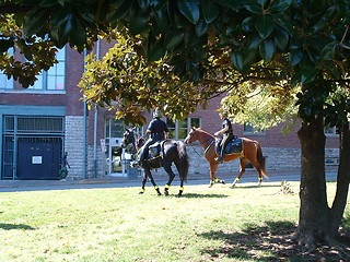 Image showing Nashville Mounted Police