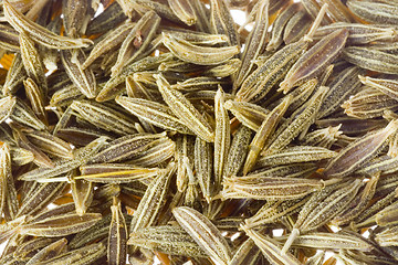 Image showing Cumin seeds

