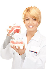 Image showing doctor with jaws