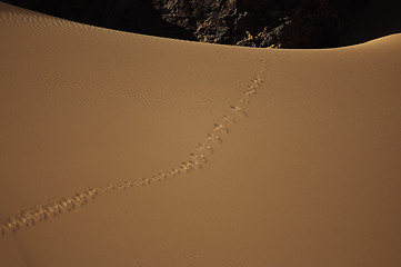 Image showing Jebel Uwaynat