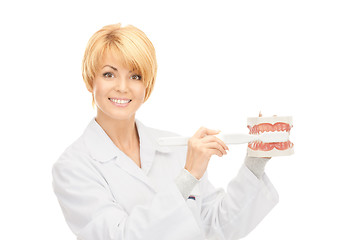 Image showing doctor with toothbrush and jaws