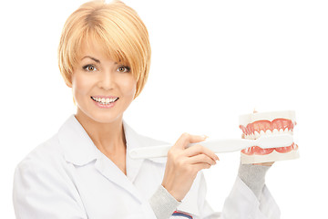 Image showing doctor with toothbrush and jaws