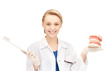 Image showing doctor with toothbrush and jaws