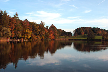 Image showing Fall Colors