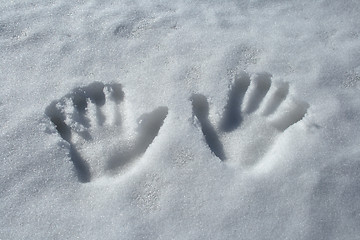 Image showing Handprints in the snow