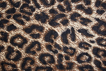 Image showing Leopard spotted fabric background