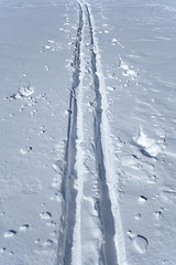 Image showing Ski tracks in the snow