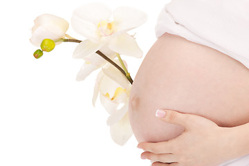 Image showing pregnant woman belly