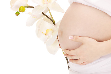 Image showing pregnant woman belly