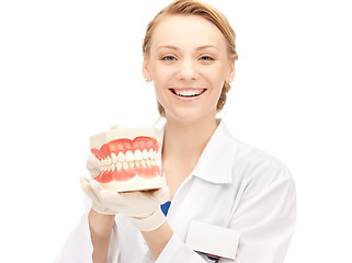 Image showing doctor with jaws