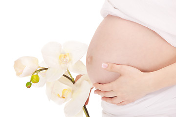 Image showing pregnant woman belly