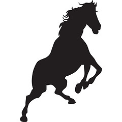 Image showing horse rearing