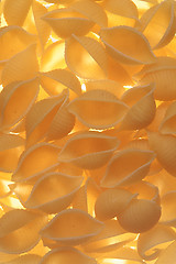 Image showing Pasta shells