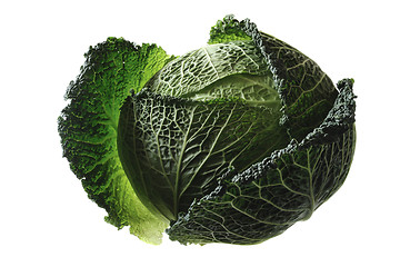 Image showing Savoy cabbage