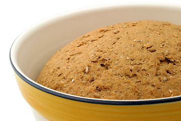 Image showing Hearty Bread Dough - close-up