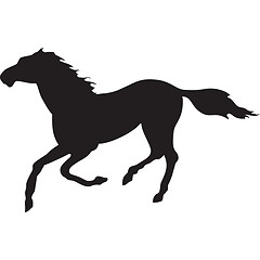 Image showing horse running