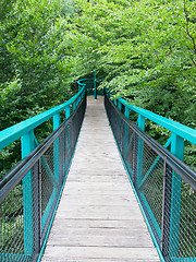 Image showing Green pathway through the trees