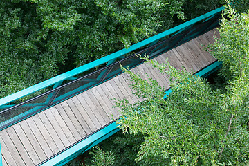 Image showing Green pathway through the trees