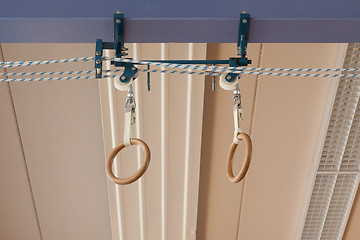 Image showing Gymnastic Rings