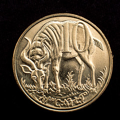 Image showing Figure of an antelope on a coin