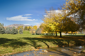 Image showing Park, Trees and Clear Skies