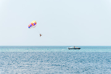 Image showing Parasailing