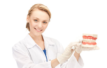 Image showing doctor with toothbrush and jaws
