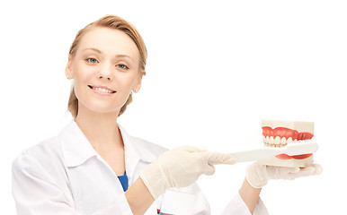 Image showing doctor with toothbrush and jaws