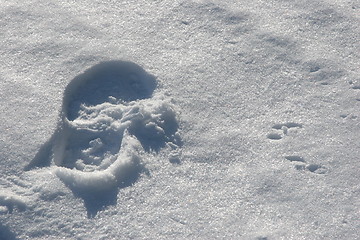 Image showing Footprint