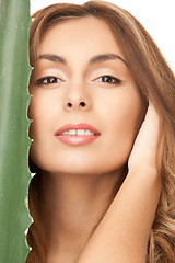 Image showing lovely woman with aloe vera