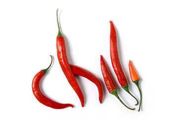 Image showing chili