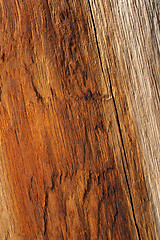 Image showing Warm orange color of wood