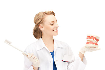 Image showing doctor with toothbrush and jaws