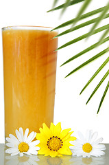 Image showing Tropical Drink