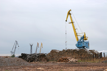 Image showing timber industry