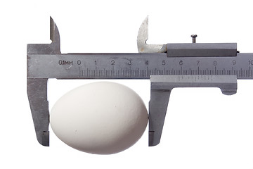 Image showing egg