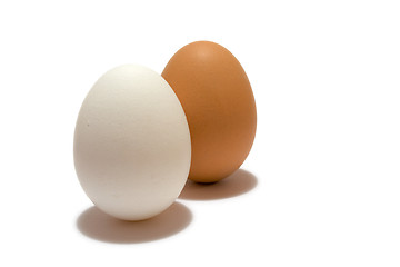 Image showing eggs