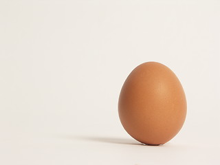 Image showing egg