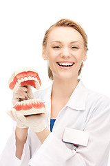 Image showing doctor with jaws